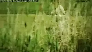 الدولة الكهرباء