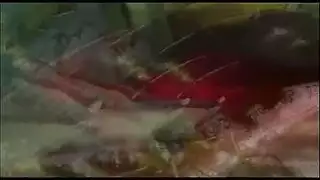 أظافر طويلة شقة في نعش فتاة العزف المنفرد