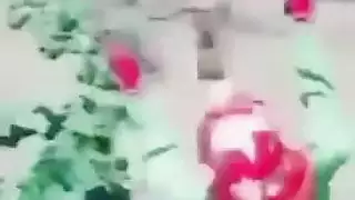 فيلم للكبار عربي: تهيئة شفراتها لتصوير إباحي