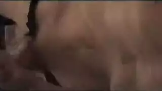 تعاني من شروط المشترى