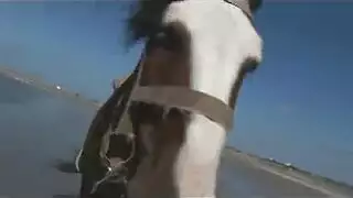 بريطانية سمراء ميلا ميلانو تركب قضيب صديقها الصلب حتى يرتجف