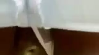 تحميل إباحية كويتية xxx مجانية: مشاهد شرجية ومهبلية